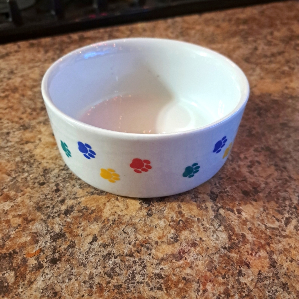 Dog/cat Feeding Bowl